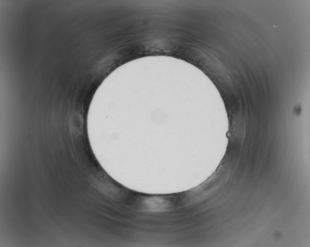 X0000116620183201001081239