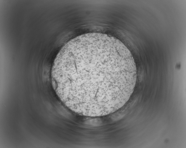 X0000116620185201001081239