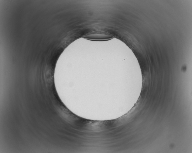 X0000116620186201001081239