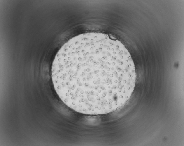 X0000116620187201001081239