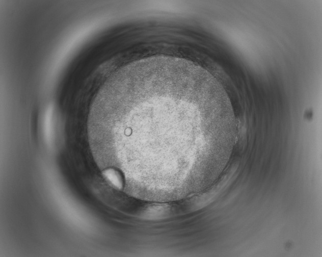 X0000116620189201001081239