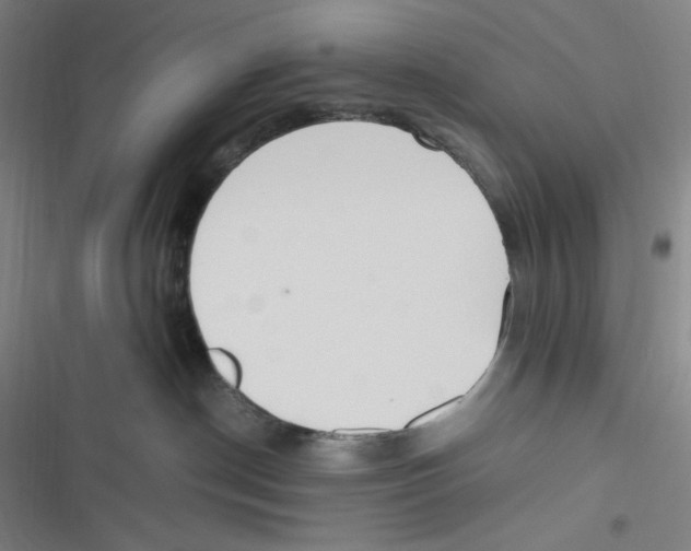 X0000116620190201001081239