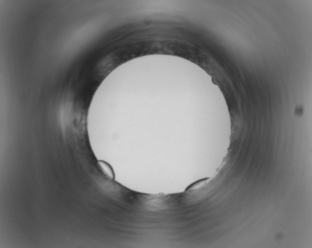 X0000116620191201001081239