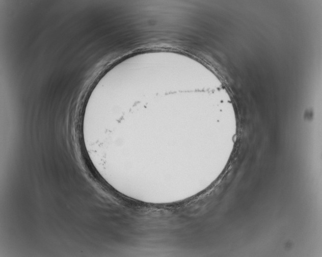 X0000116620193201001081239