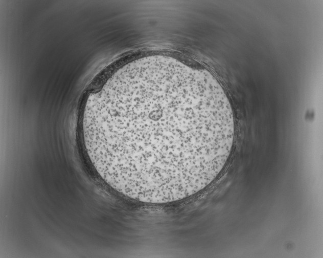 X0000116620194201001081239