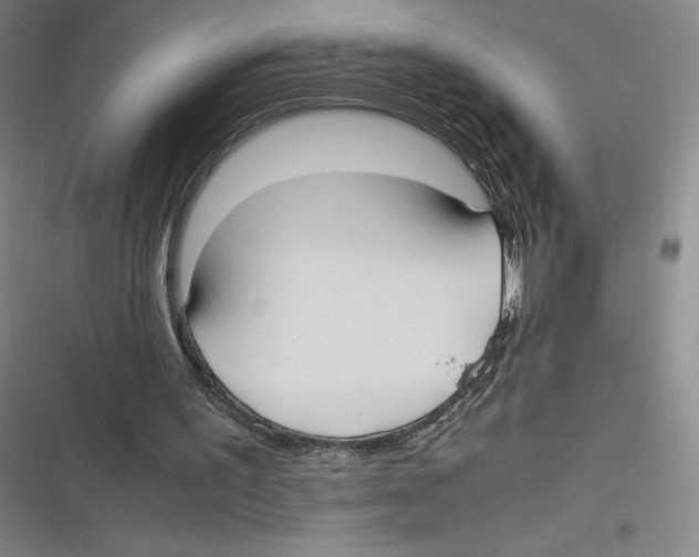 X0000116620195201001081239