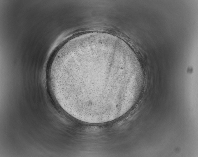 X0000116620198201001081239