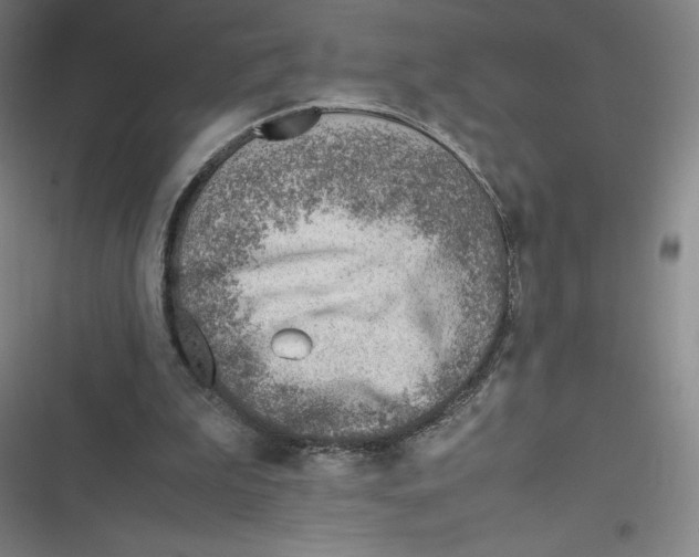 X0000116620199201001081239