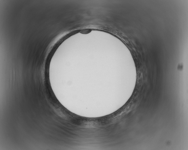 X0000116620200201001081239