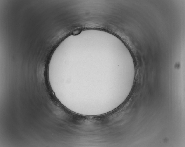 X0000116620201201001081239