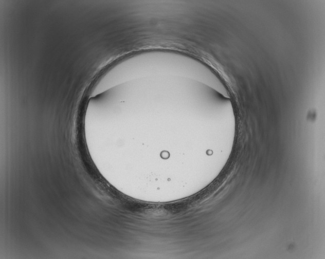 X0000116620203201001081238