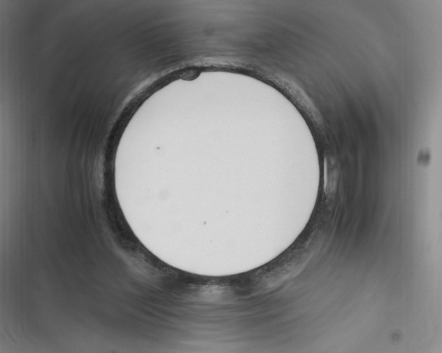 X0000116620204201001081238