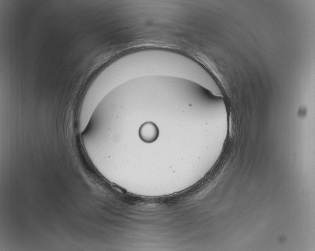 X0000116620205201001081238