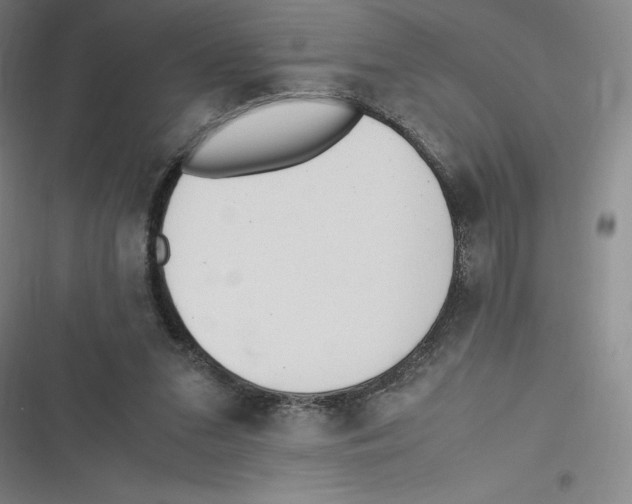 X0000116620207201001081238