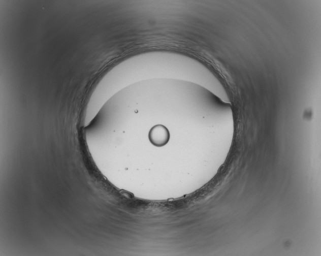 X0000116620209201001081238