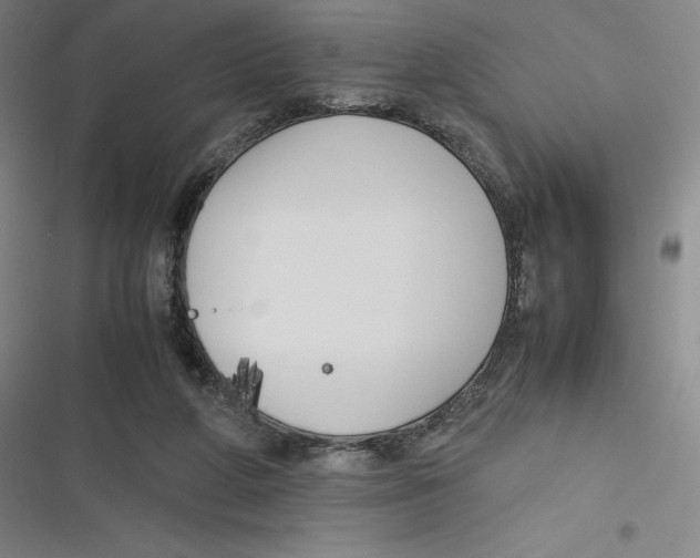 X0000116620210201001081238