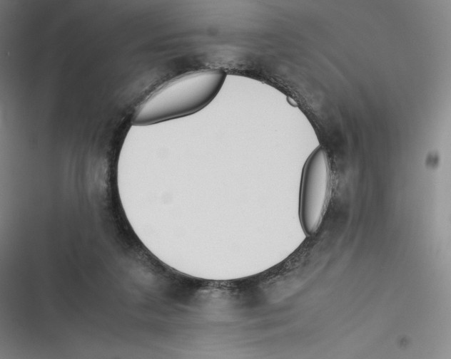 X0000116620211201001081238