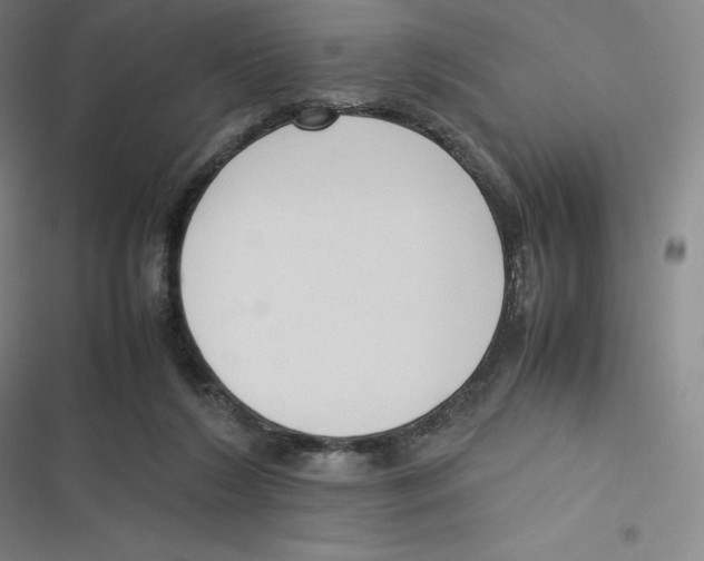 X0000116620212201001081238