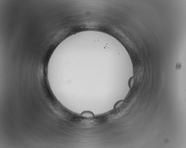 X0000116620213201001081238