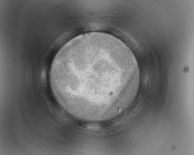 X0000116620214201001081238