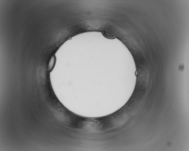 X0000116620215201001081238