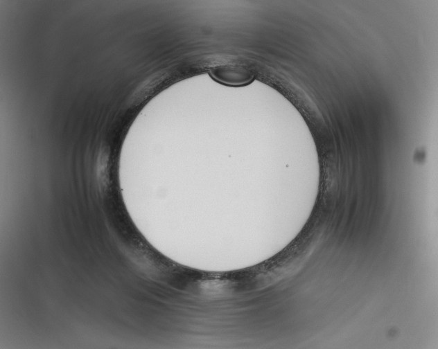 X0000116620216201001081238