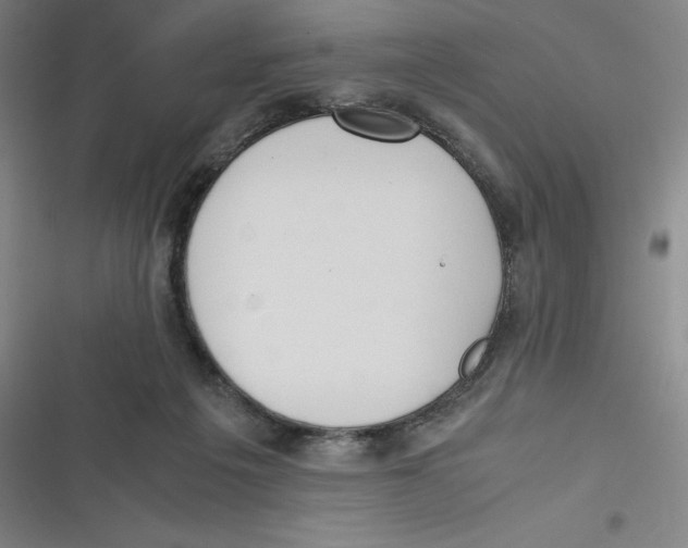 X0000116620217201001081238