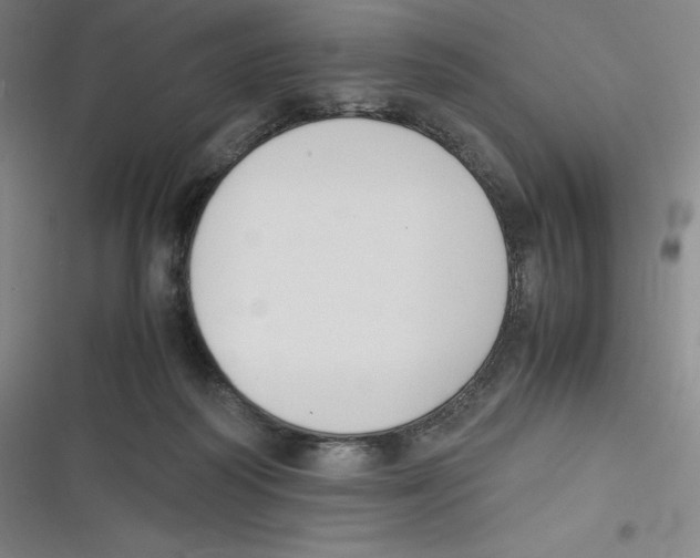 X0000116620218201001081238