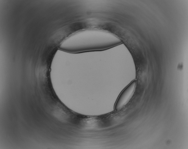 X0000116620219201001081238