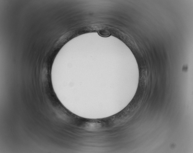 X0000116620220201001081238