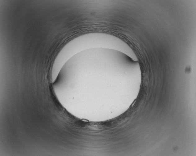 X0000116620221201001081238