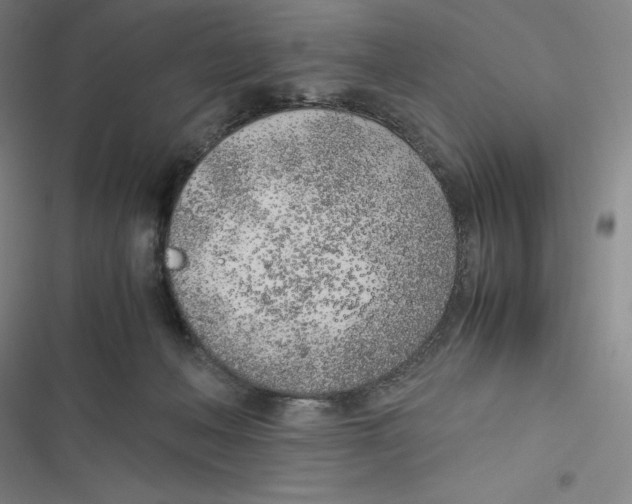 X0000116620222201001081238