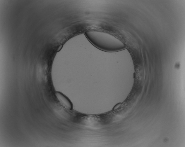 X0000116620223201001081238