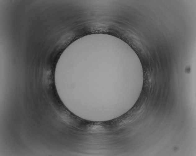 X0000116620224201001081238