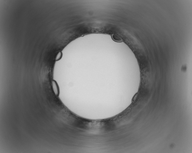 X0000116620225201001081238