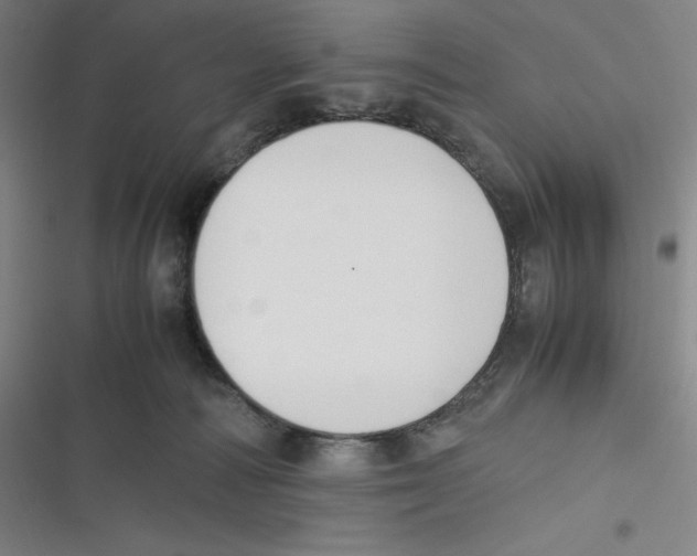 X0000116620226201001081238