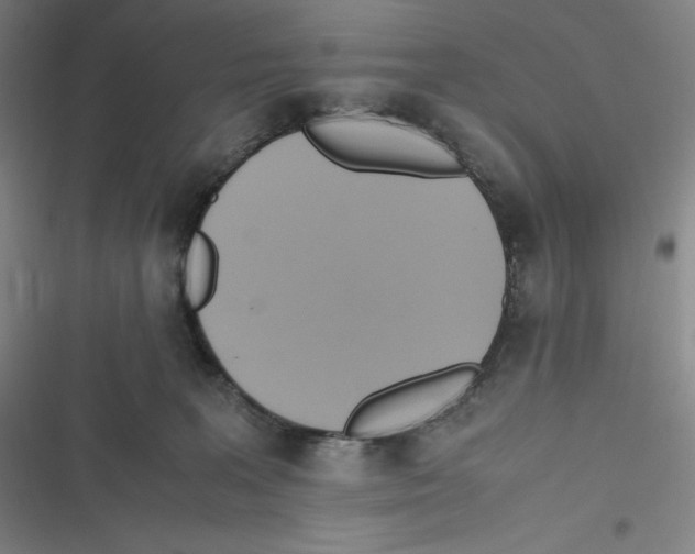 X0000116620227201001081238