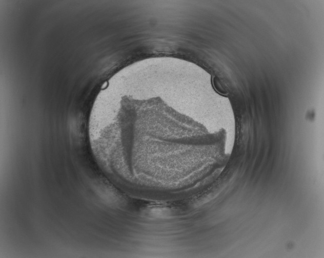 X0000116620228201001081238