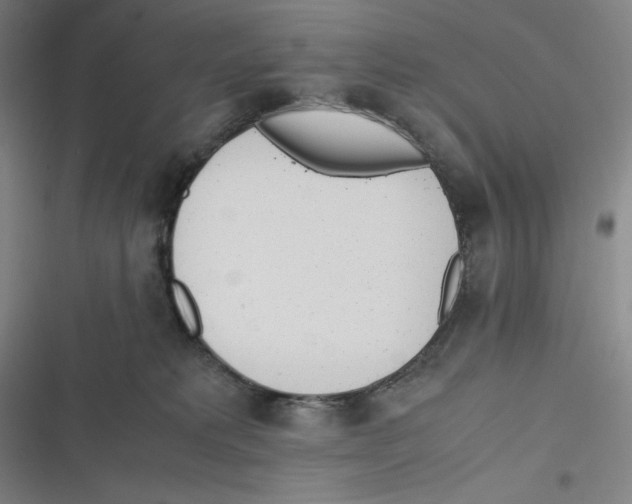 X0000116620229201001081238