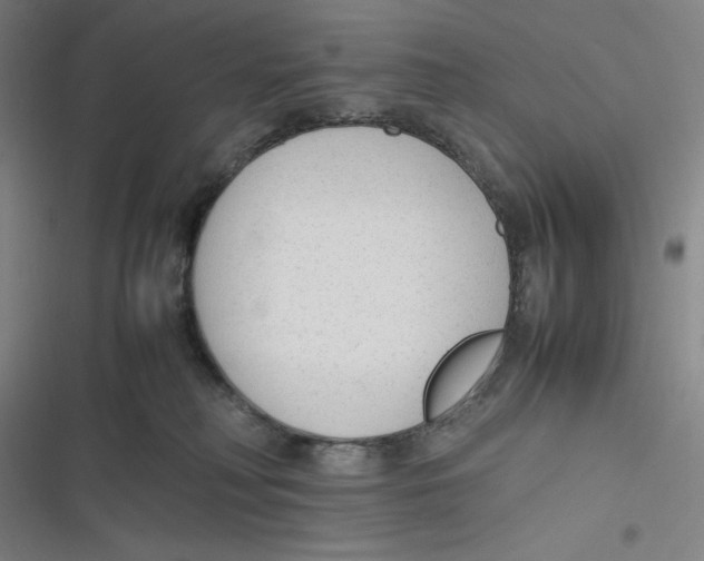 X0000116620230201001081238