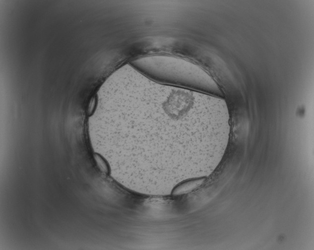 X0000116620231201001081238