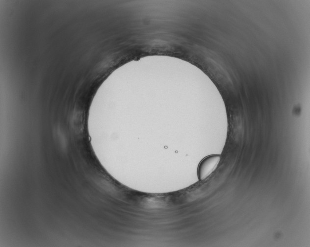 X0000116620232201001081238