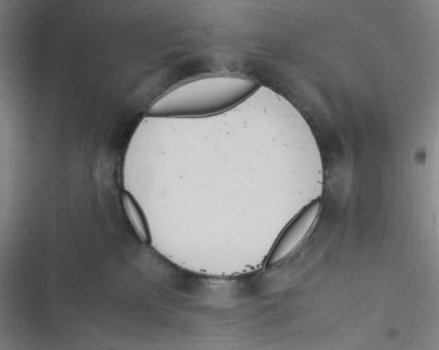 X0000116620233201001081238