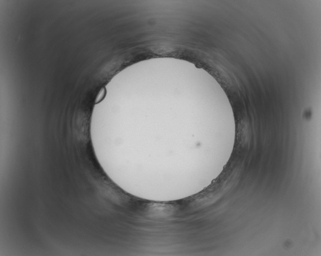 X0000116620234201001081238