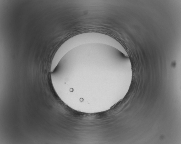 X0000116620235201001081238