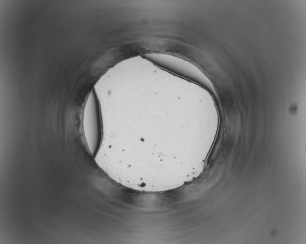 X0000116620237201001081238