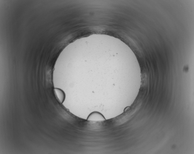 X0000116620238201001081238