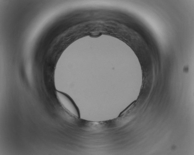 X0000116620239201001081238