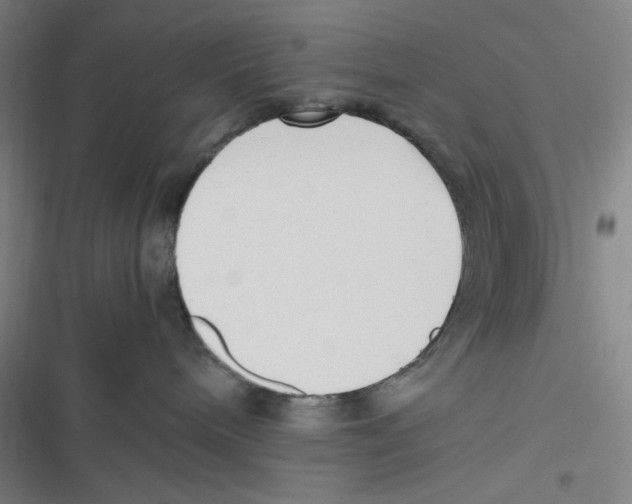 X0000116620240201001081238