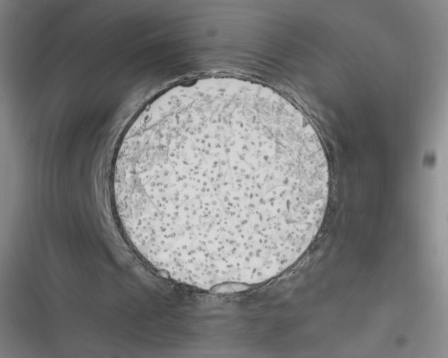 X0000116620241201001081237